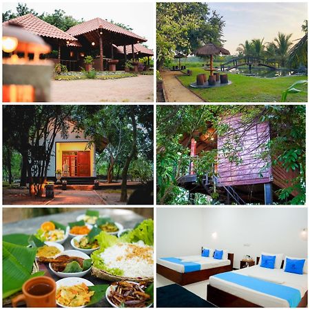 Ceylon Amigos Eco Resort 锡吉里亚 外观 照片