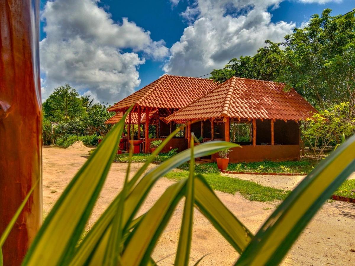 Ceylon Amigos Eco Resort 锡吉里亚 外观 照片