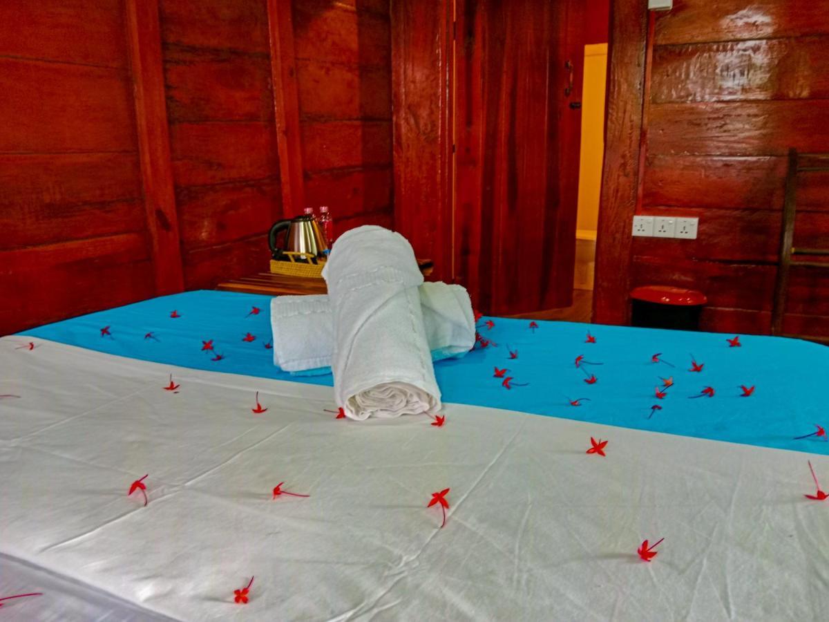 Ceylon Amigos Eco Resort 锡吉里亚 外观 照片