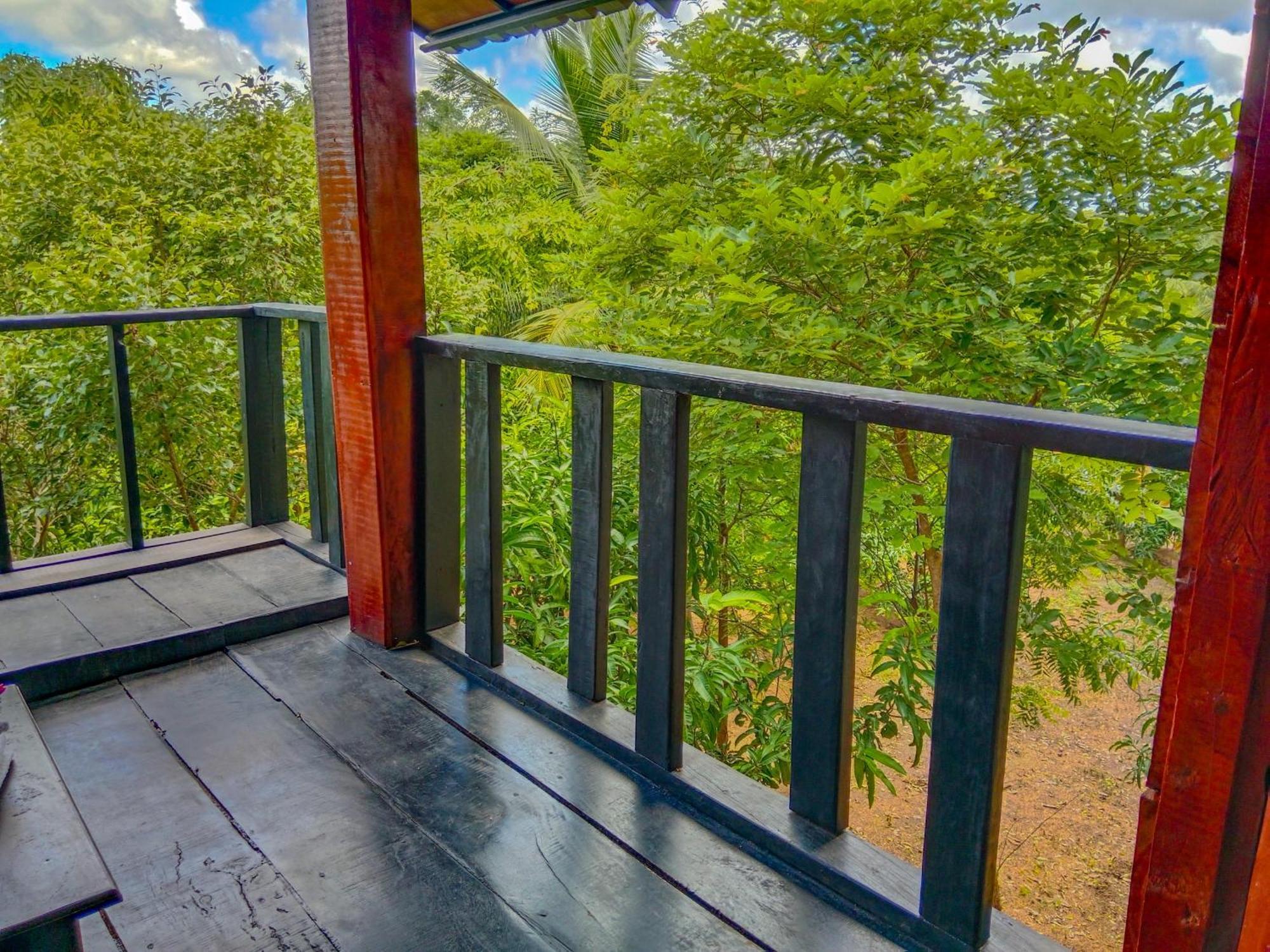 Ceylon Amigos Eco Resort 锡吉里亚 外观 照片