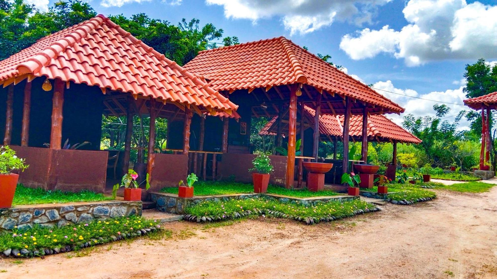 Ceylon Amigos Eco Resort 锡吉里亚 外观 照片