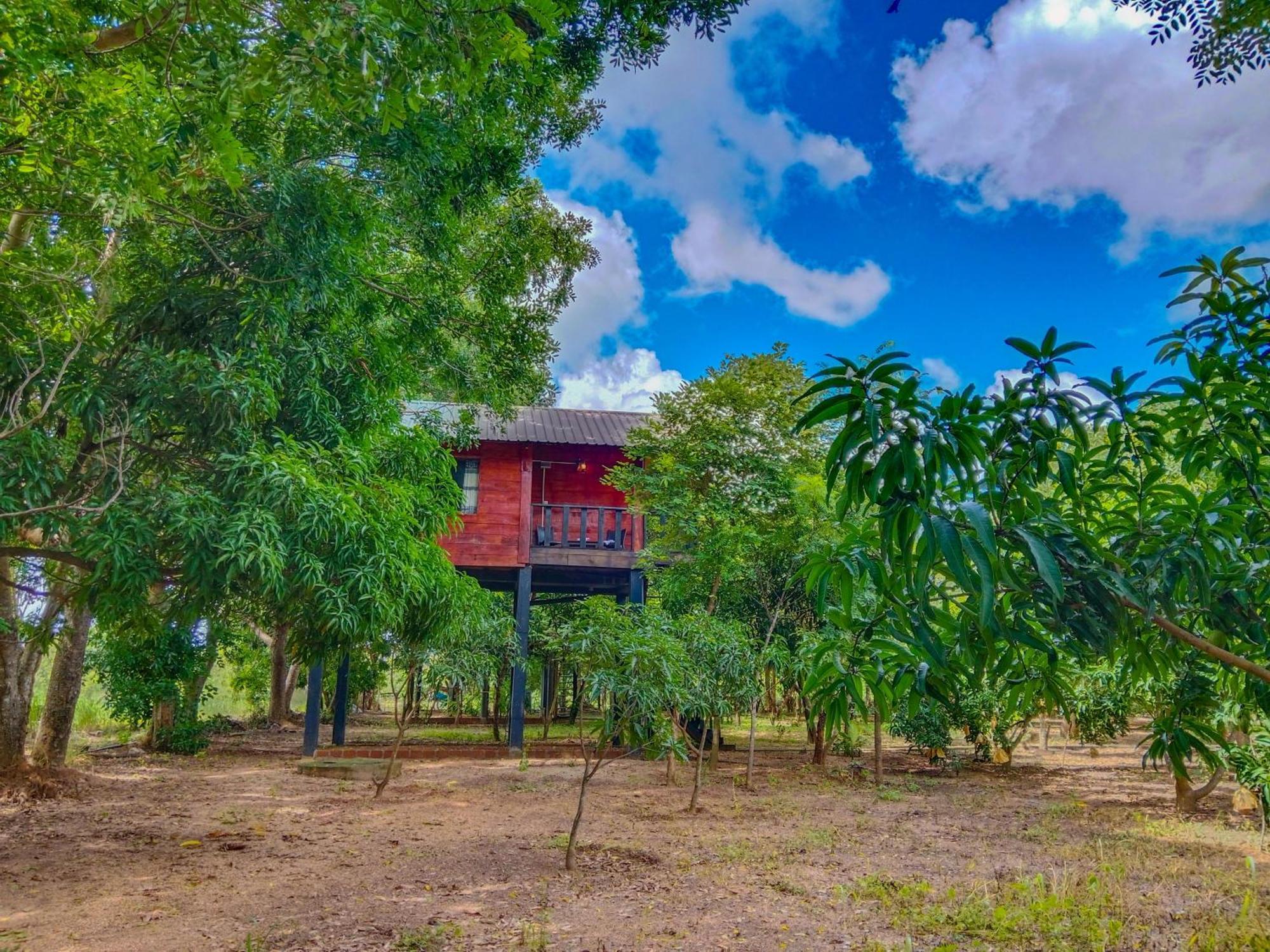 Ceylon Amigos Eco Resort 锡吉里亚 外观 照片