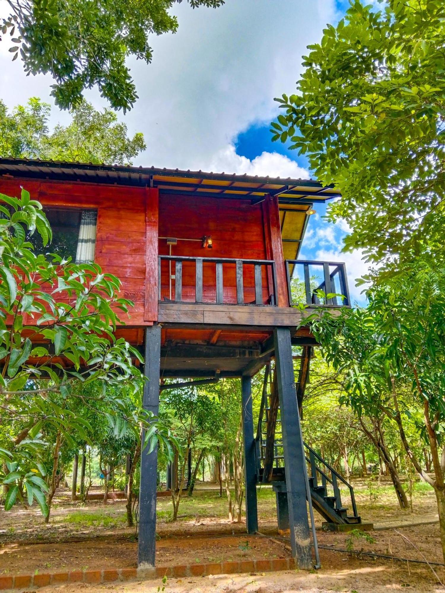 Ceylon Amigos Eco Resort 锡吉里亚 外观 照片