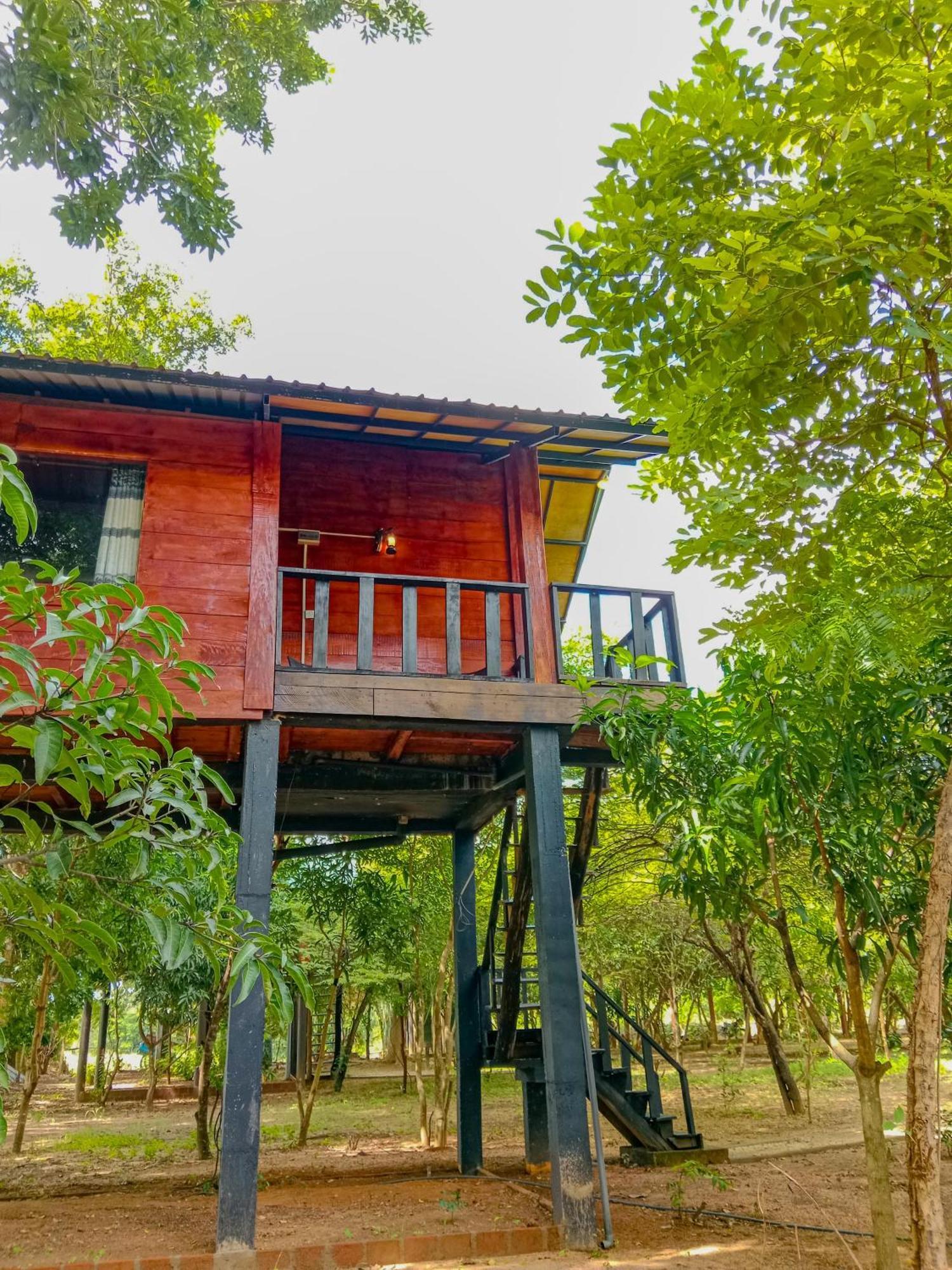 Ceylon Amigos Eco Resort 锡吉里亚 外观 照片