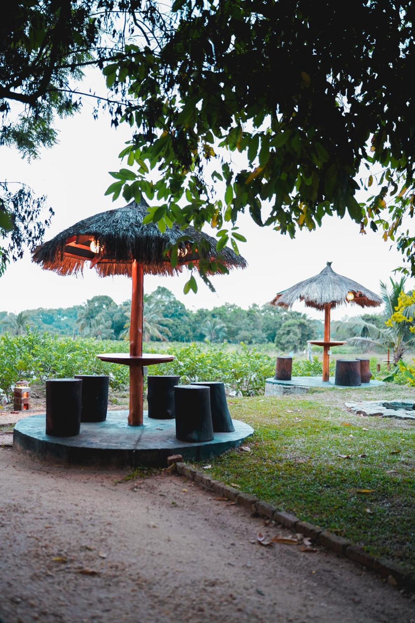 Ceylon Amigos Eco Resort 锡吉里亚 外观 照片